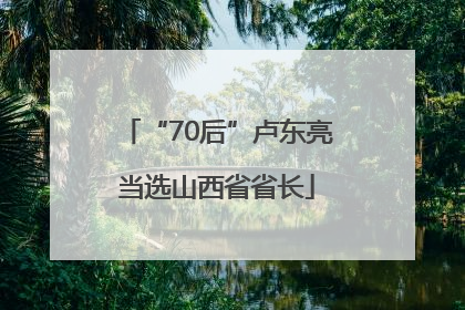 “70后”卢东亮当选山西省省长