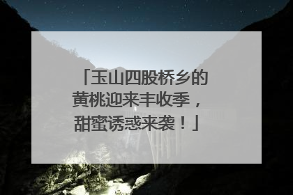 玉山四股桥乡的黄桃迎来丰收季，甜蜜诱惑来袭！