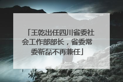 王乾出任四川省委社会工作部部长，省委常委靳磊不再兼任