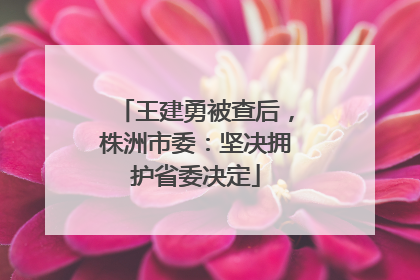 王建勇被查后，株洲市委：坚决拥护省委决定