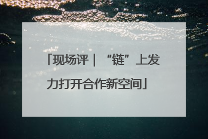 现场评｜“链”上发力打开合作新空间