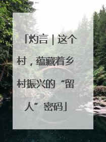 灼言｜这个村，蕴藏着乡村振兴的“留人”密码