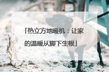 热立方地暖机：让家的温暖从脚下生根