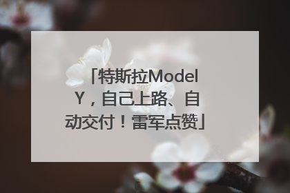 特斯拉Model Y，自己上路、自动交付！雷军点赞