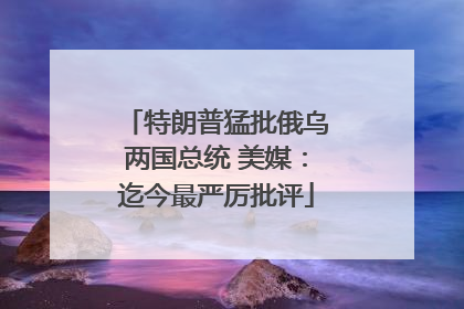 特朗普猛批俄乌两国总统 美媒：迄今最严厉批评