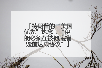特朗普的“美国优先”执念：“伊朗必须在被彻底摧毁前达成协议”