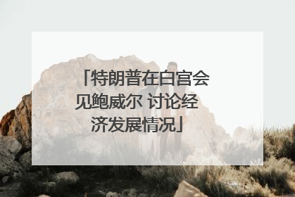 特朗普在白宫会见鲍威尔 讨论经济发展情况