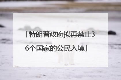 特朗普政府拟再禁止36个国家的公民入境