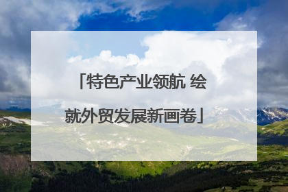 特色产业领航 绘就外贸发展新画卷