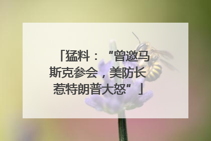 猛料：“曾邀马斯克参会，美防长惹特朗普大怒”