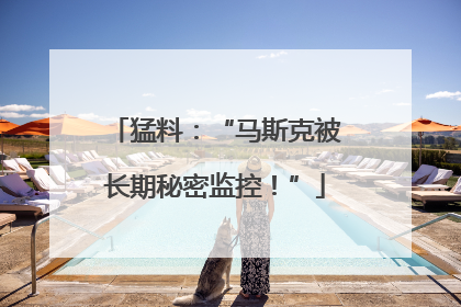 猛料：“马斯克被长期秘密监控！”
