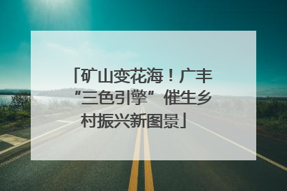 矿山变花海！广丰“三色引擎”催生乡村振兴新图景