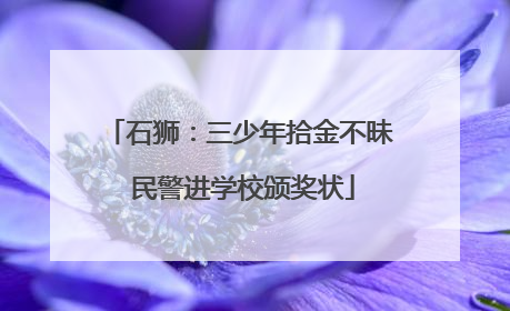 石狮：三少年拾金不昧 民警进学校颁奖状
