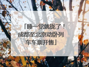 睡一觉就拢了！成都至北京动卧列车车票开售