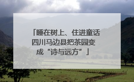 睡在树上、住进童话 四川马边县把茶园变成“诗与远方”