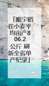 睢宁稻茬小麦平均亩产806.2公斤 刷新全省单产纪录