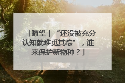 瞭望｜“还没被充分认知就难觅其踪”，谁来保护新物种？