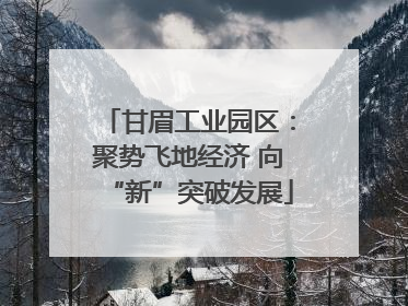 甘眉工业园区：聚势飞地经济 向“新”突破发展