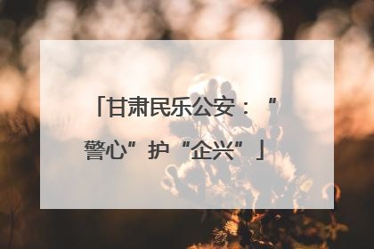 甘肃民乐公安：“警心”护“企兴”
