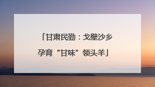 甘肃民勤：戈壁沙乡孕育“甘味”领头羊