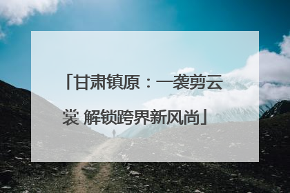 甘肃镇原：一袭剪云裳 解锁跨界新风尚