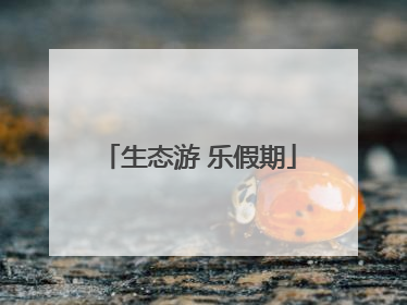 生态游 乐假期