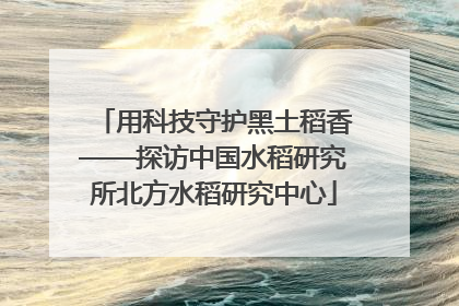 用科技守护黑土稻香——探访中国水稻研究所北方水稻研究中心