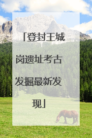 登封王城岗遗址考古发掘最新发现
