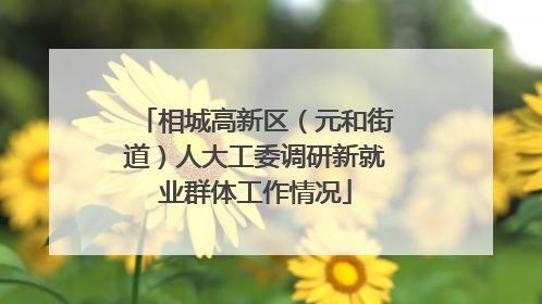 相城高新区（元和街道）人大工委调研新就业群体工作情况