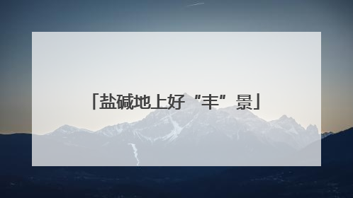盐碱地上好“丰”景