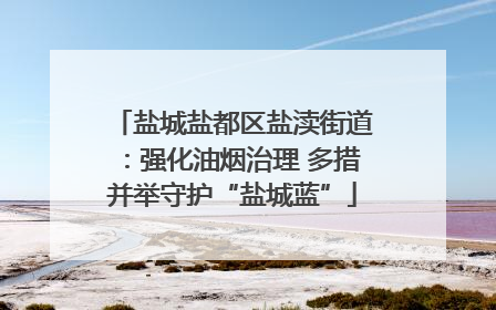 盐城盐都区盐渎街道：强化油烟治理 多措并举守护“盐城蓝”