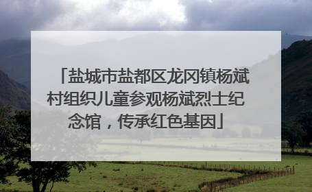 盐城市盐都区龙冈镇杨斌村组织儿童参观杨斌烈士纪念馆，传承红色基因