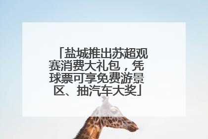 盐城推出苏超观赛消费大礼包，凭球票可享免费游景区、抽汽车大奖