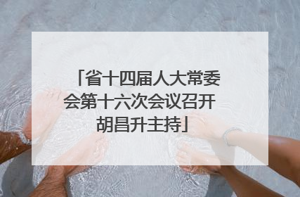 省十四届人大常委会第十六次会议召开 胡昌升主持