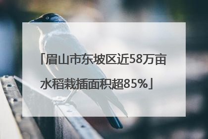 眉山市东坡区近58万亩水稻栽插面积超85%