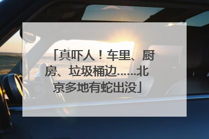 真吓人！车里、厨房、垃圾桶边……北京多地有蛇出没