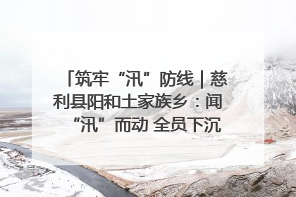 筑牢“汛”防线｜慈利县阳和土家族乡：闻“汛”而动 全员下沉筑牢防汛“安全堤”