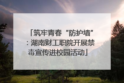 筑牢青春“防护墙”：湖南财工职院开展禁毒宣传进校园活动