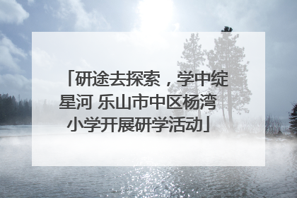 研途去探索，学中绽星河 乐山市中区杨湾小学开展研学活动