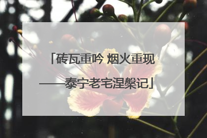 砖瓦重吟 烟火重现——泰宁老宅涅槃记