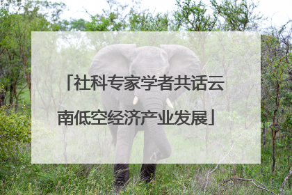 社科专家学者共话云南低空经济产业发展