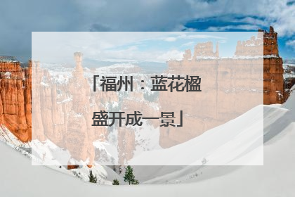 福州：蓝花楹盛开成一景
