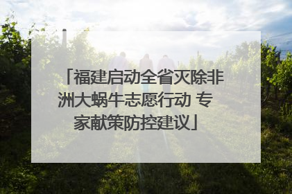 福建启动全省灭除非洲大蜗牛志愿行动 专家献策防控建议