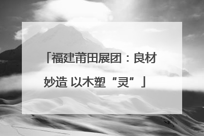 福建莆田展团：良材妙造 以木塑“灵”