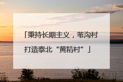 秉持长期主义，苇沟村打造泰北“黄精村”