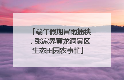 端午假期冒雨插秧，张家界黄龙洞景区生态田园农事忙