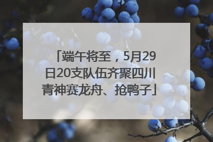 端午将至，5月29日20支队伍齐聚四川青神赛龙舟、抢鸭子