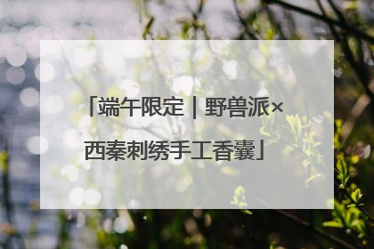 端午限定｜野兽派×西秦刺绣手工香囊