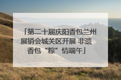 第二十届庆阳香包兰州展销会城关区开展 非遗香包“粽”情端午