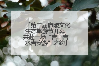 第二届庐陵文化生态旅游节开幕 共赴一场“吉山吉水吉安游”之约